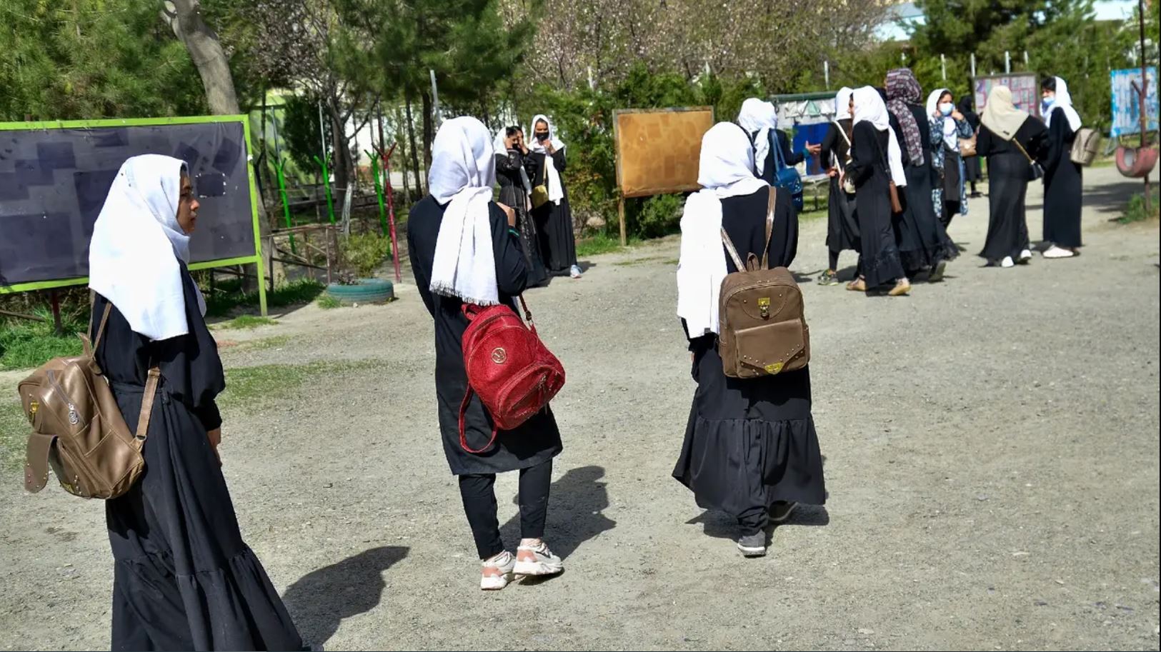 بازگشایی مکاتب دخترانه در پکتیا