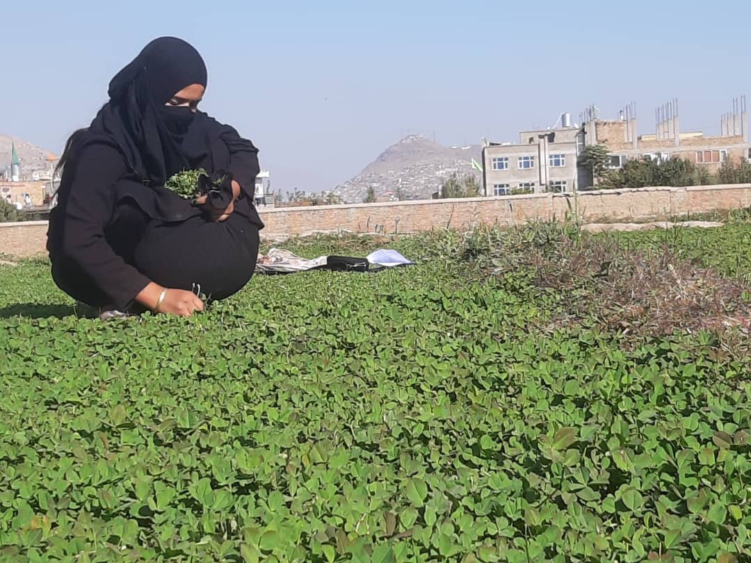 آرزوهای بزرگ و دنیایی کوچک