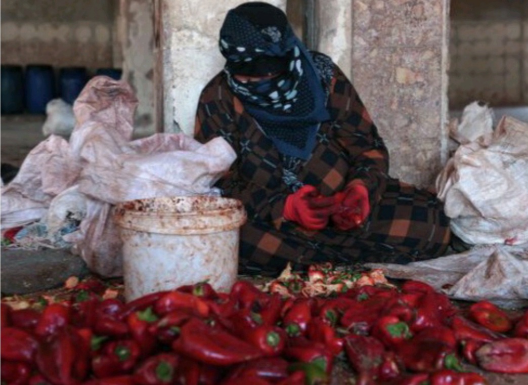 رنج تلخی مرچ و رویایی شیرین زندگی